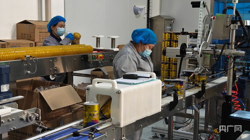 科技創新驅動產業升級 雙輪驅動綠色發展